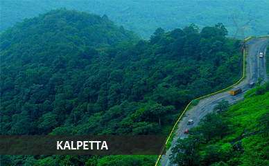 KALPETTA