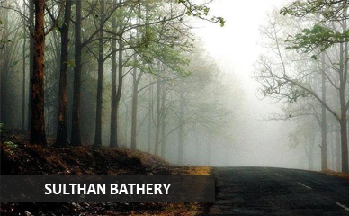 SULTHAN-BATHERY