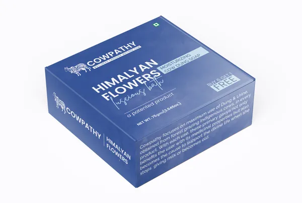 BCH-003_1673943235247_h2ureogoj9t6k7a (1)