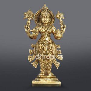 dhroni_dhanwanthari_idol2-300x300