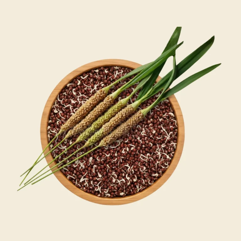 Sprouted Ragi Flour