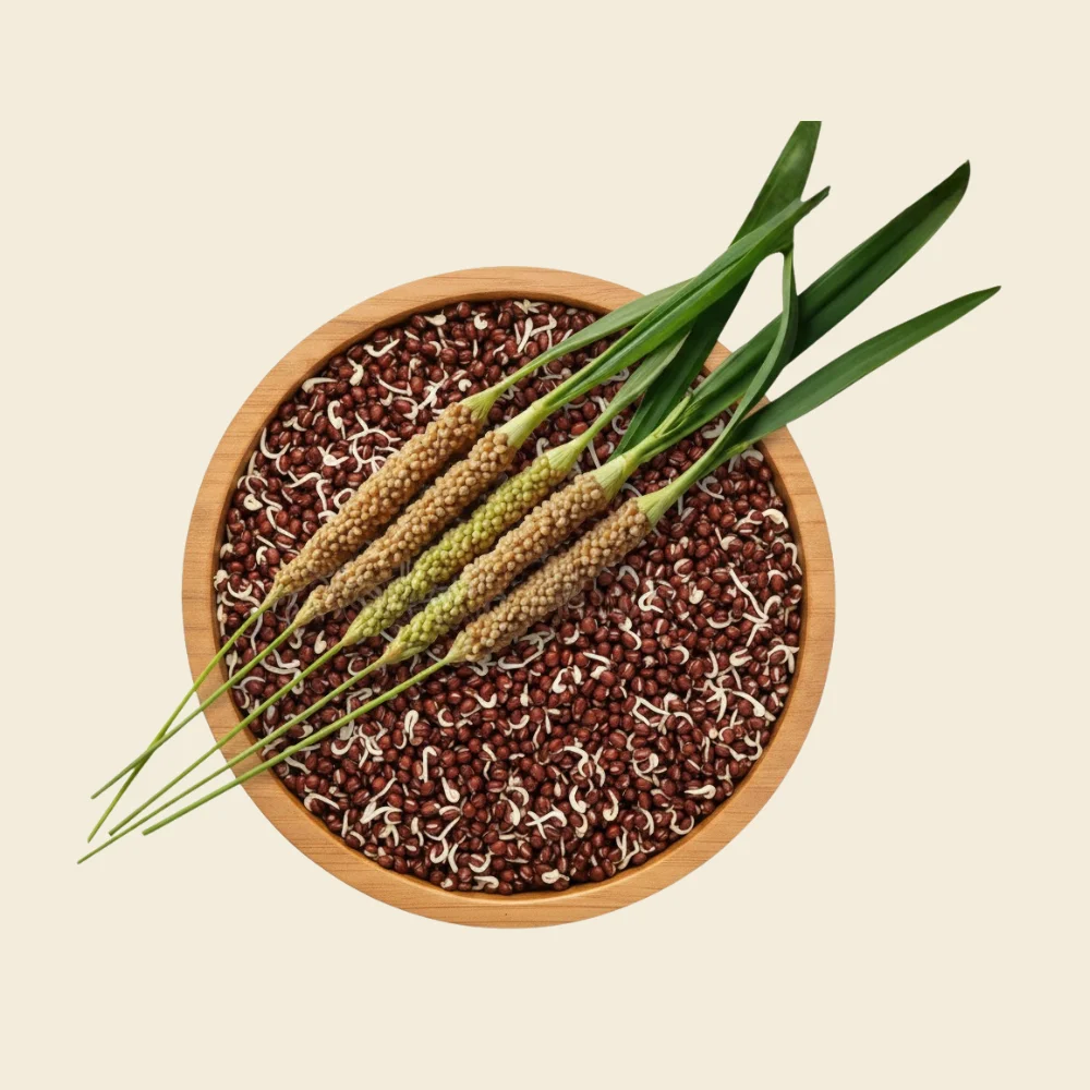 sprouted_raggi_flour